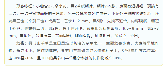 ScreenShot_2025-12-08_110316_310.png