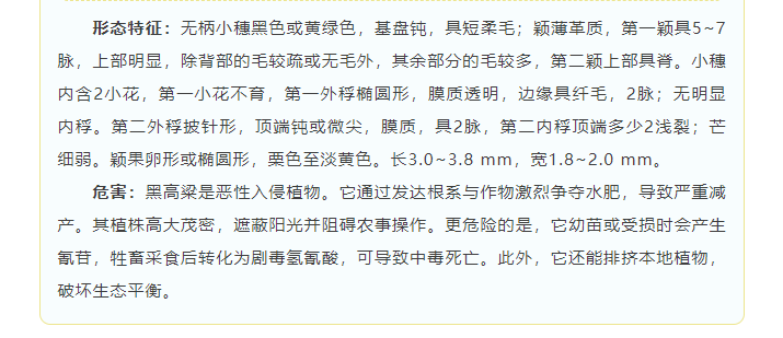 ScreenShot_2025-12-08_110334_456.png