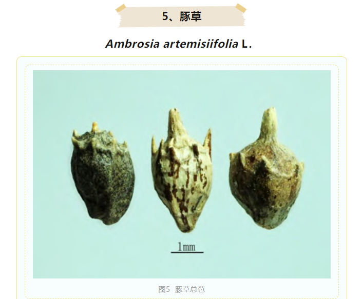 wechat_2025-12-08_110346_108.png