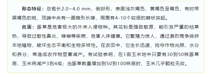 ScreenShot_2025-12-08_110354_400.png